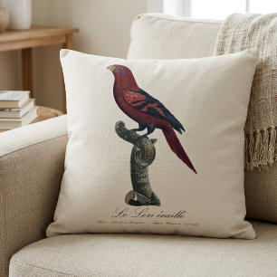 Blue-Streaked Lory, Trichoglossus reticulatus Throw Pillow