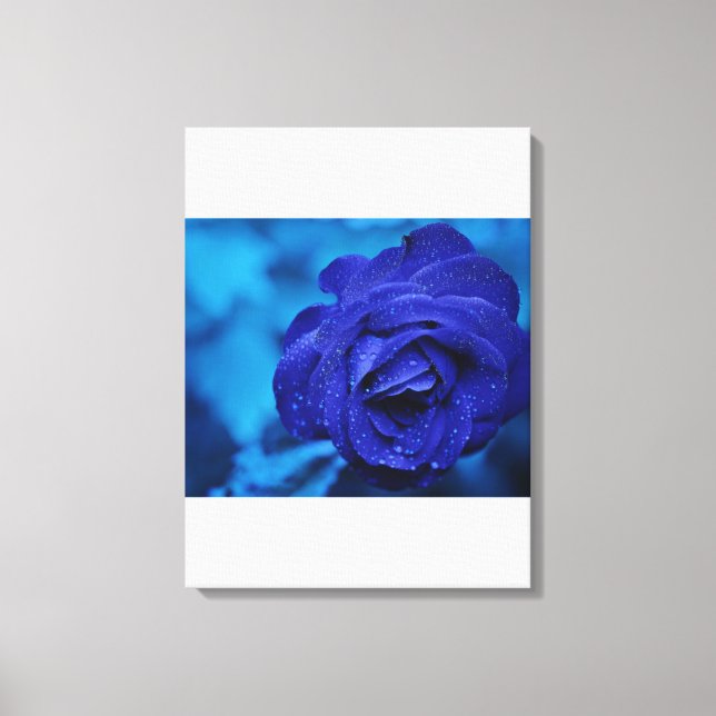 Blue Stretched Canvas Print (Front)