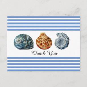 Blue Stripe with Sea Shells Postcard
