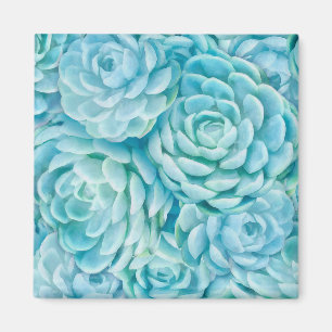 Blue succulents magnet