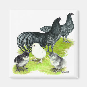 Blue Sumatra Family Magnet