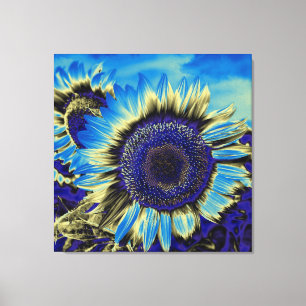 Blue Sunflower Canvas Print