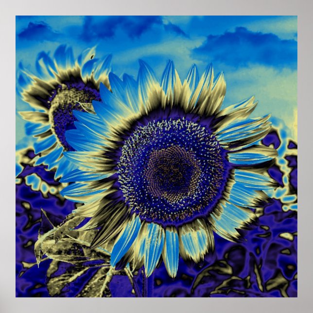 Blue Sunflower Poster (Front)