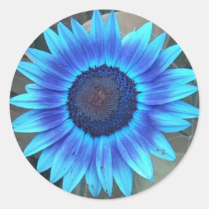 Blue Sunflower Stickers