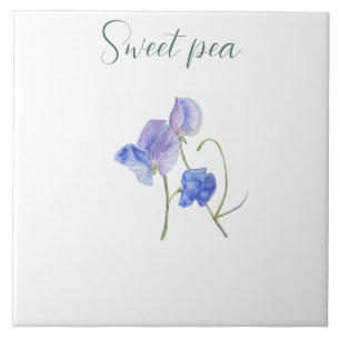 Blue sweet pea flower botanical watercolor tile