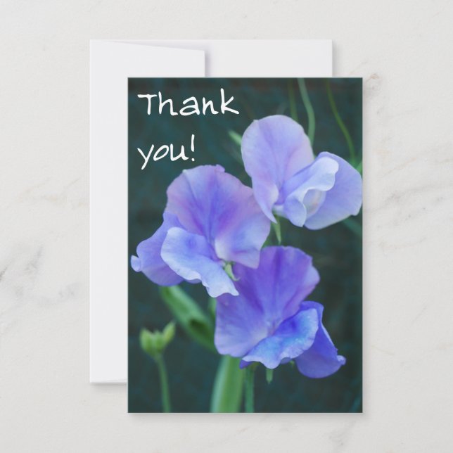 Blue Sweet Pea Flowers Thank You Card (Front)