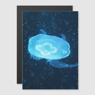 Blue Swimming Jellyfish