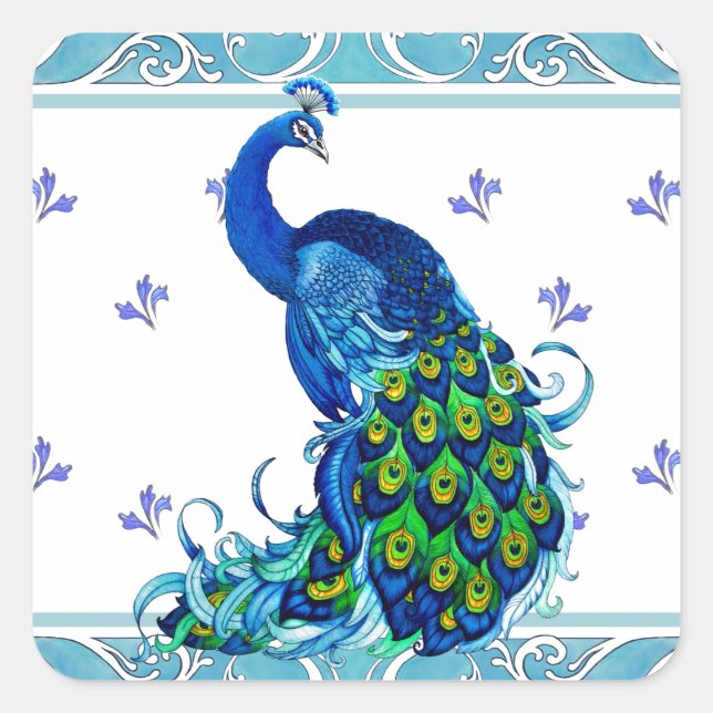 Blue swirl Border and Peacock Design Square Sticker (Front)