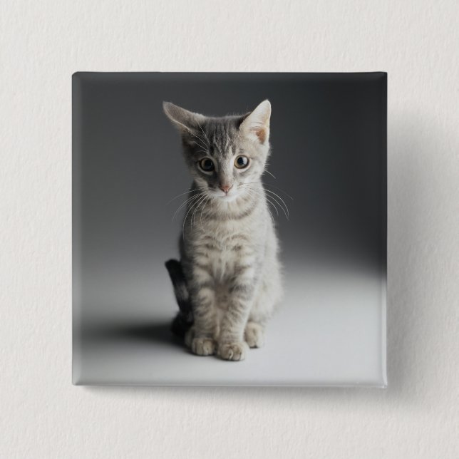 Blue Tabby Kitten 2 Inch Square Button (Front)