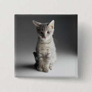 Blue Tabby Kitten 2 Inch Square Button