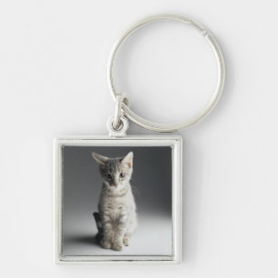 Blue Tabby Kitten Keychain
