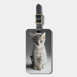 Blue Tabby Kitten Luggage Tag