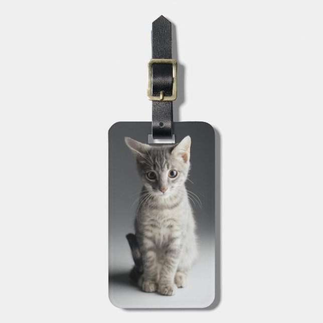 Blue Tabby Kitten Luggage Tag (Front Vertical)