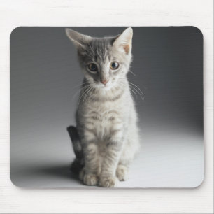 Blue Tabby Kitten Mouse Pad