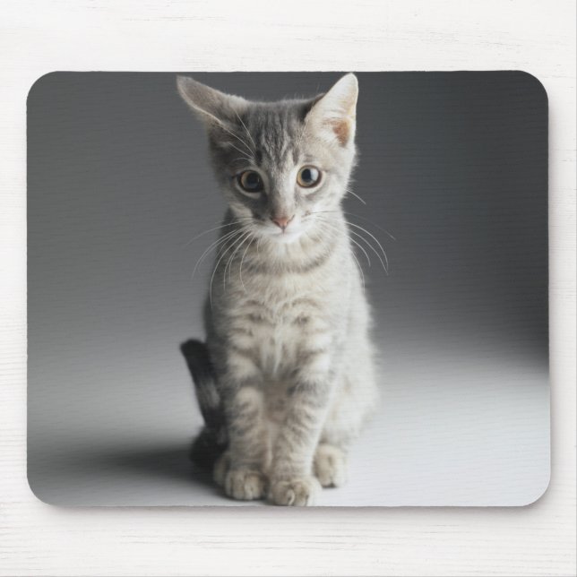 Blue Tabby Kitten Mouse Pad (Front)