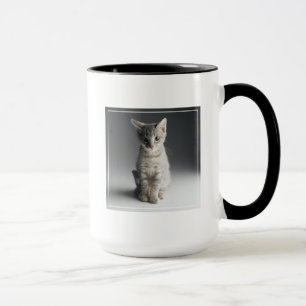 Blue Tabby Kitten Mug