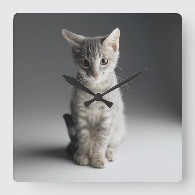 Blue Tabby Kitten Square Wall Clock (Front)