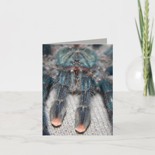 blue tarantula card (Front)