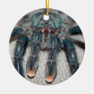 blue tarantula ceramic ornament