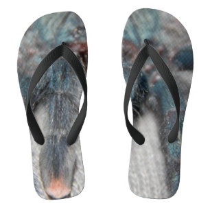 blue tarantula flip flops
