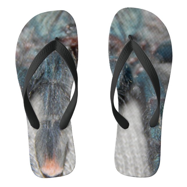 blue tarantula flip flops (Footbed)