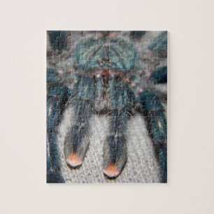 blue tarantula jigsaw puzzle