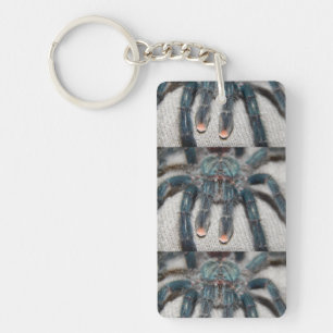 blue tarantula keychain
