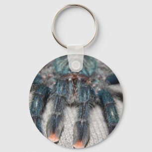 blue tarantula keychain