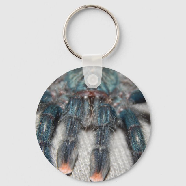 blue tarantula keychain (Front)