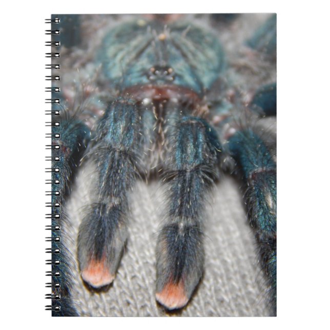 blue tarantula notebook (Front)