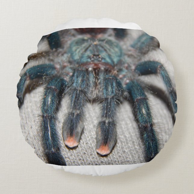 blue tarantula round pillow (Front)
