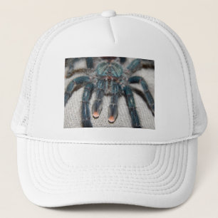 blue tarantula trucker hat