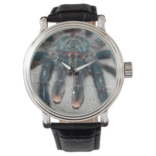 blue tarantula watch