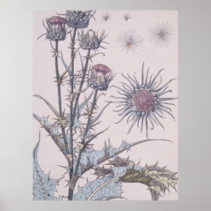 Blue Thistle Poster