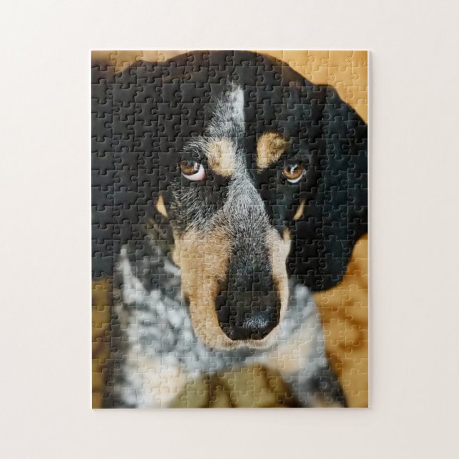 Blue Tick Coonhound Jigsaw Puzzle (Vertical)