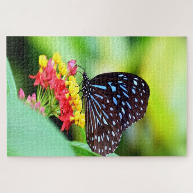 Blue Tiger Tirumala Hamata Butterfly. Jigsaw Puzzle (Horizontal)