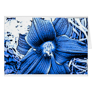 Blue Tigerlilly