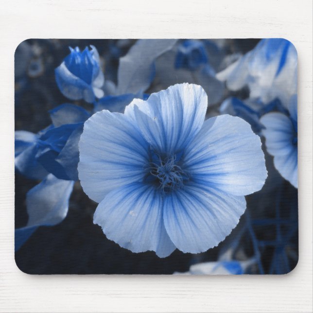 Blue Tinted Lavatera Mouse Pad (Front)