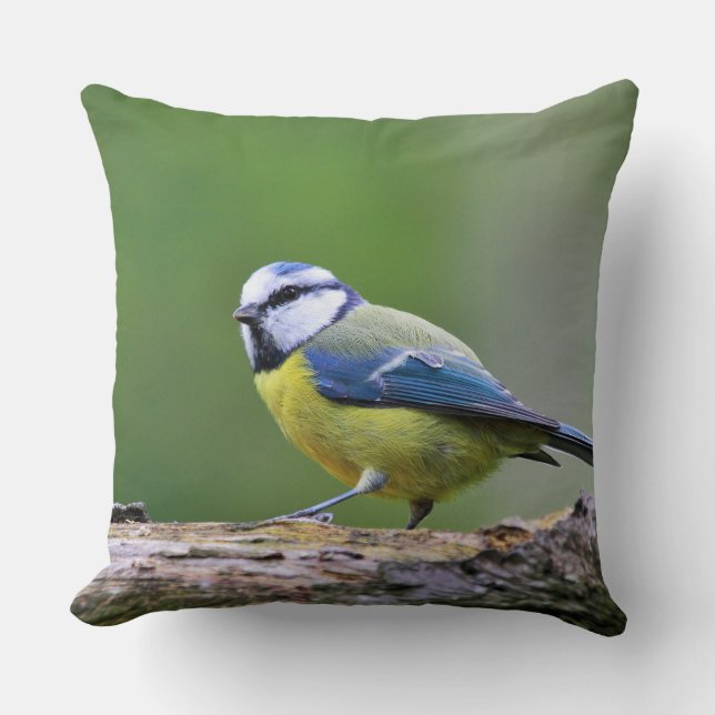 Blue Tit Bird Animals Wildlife Throw Pillow (Front)