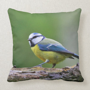 Blue Tit Bird Animals Wildlife Throw Pillow