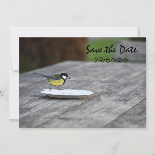 Blue Tit Bird Feed Enregistrer La Carte D'Invitati (Devant)