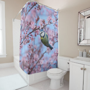 Blue Tit Bird in Pink Japanese Cherry Blossoms