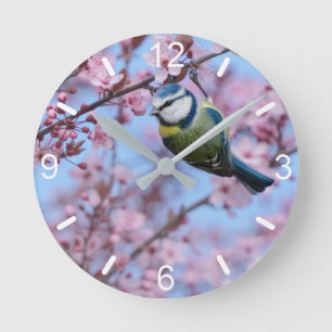Blue Tit Bird in Pink Japanese Cherry Blossoms   Round Clock