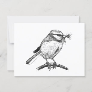 Blue tit bird ink drawing postcard