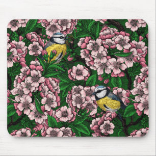 Blue tit birds in the blooming cherry tree on gree mouse pad