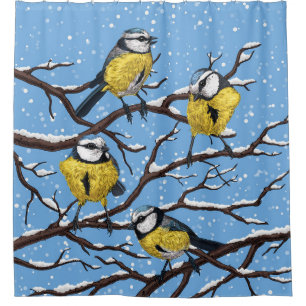 Blue tit birds in winter