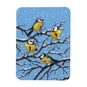 Blue tit birds in winter magnet