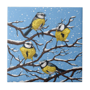 Blue tit birds in winter tile