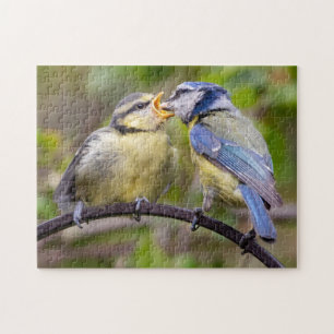 Blue Tit Feeding Fledgling Jigsaw Puzzle