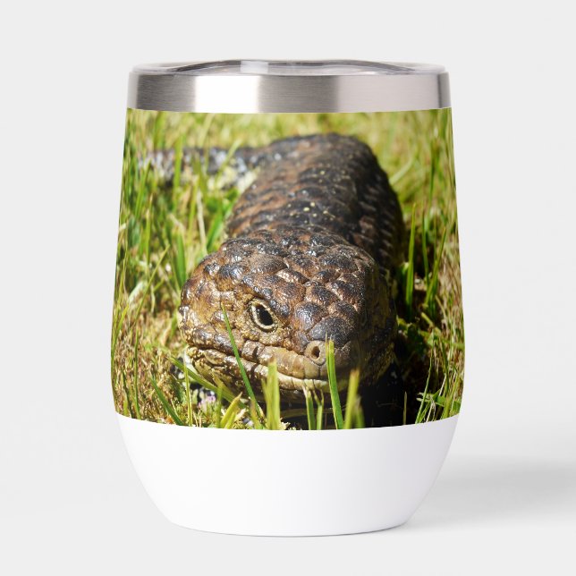 Blue Tongue Lizard Creeping In The Grass, (Back)